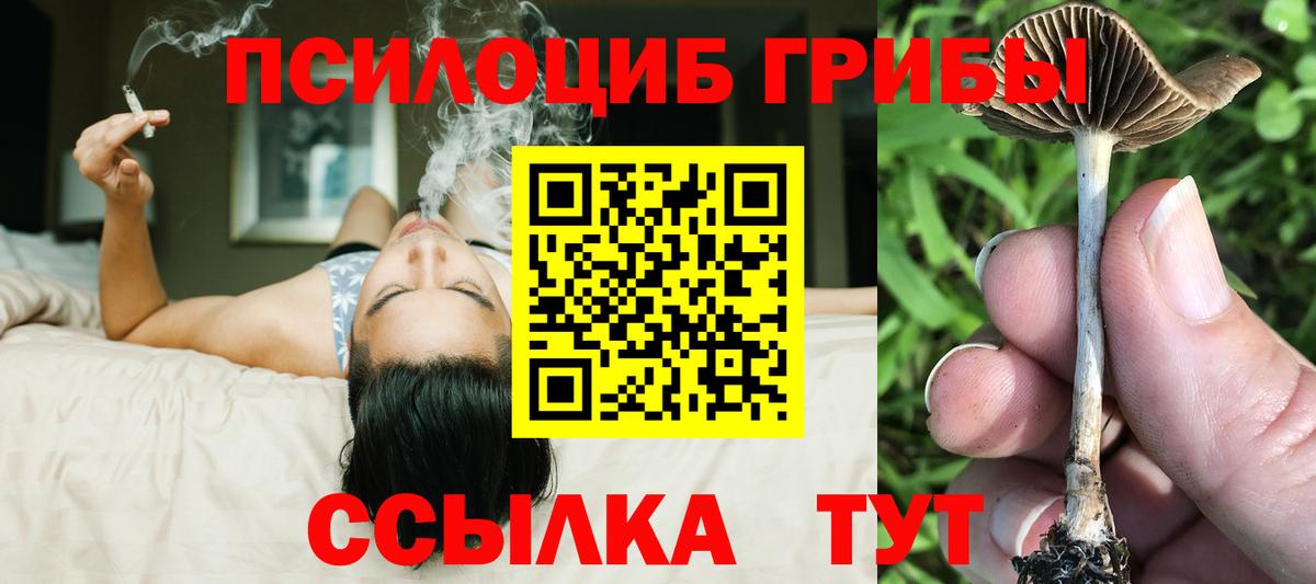 Усть-Джегута  Псилоцибиновые грибы Magic Shrooms  Вход с VPN 