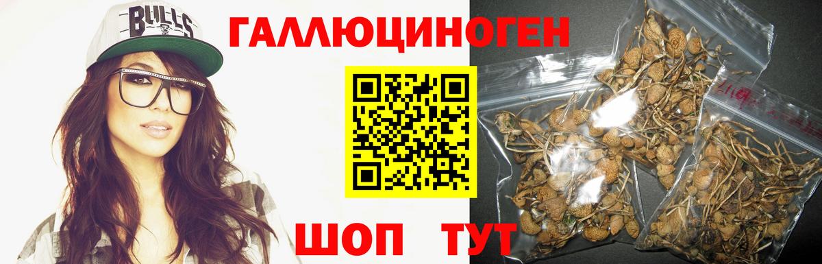 Псилоцибиновые грибы MAGIC MUSHROOMS Усть-Джегута